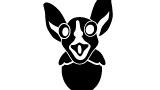 teaser