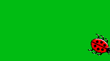 teaser